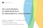 On contribution  of wild-land fires  to atmospheric composition