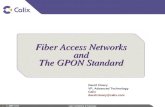 Fiber Access Networks and The GPON Standard