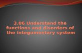 3.06 Understand the  functions and disorders of  the integumentary system