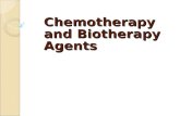 Chemotherapy and Biotherapy Agents