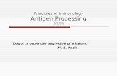 Principles of Immunology Antigen Processing 3/2/06