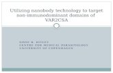 Utilizing nanobody technology  to  target  non- immunodominant  domains of  VAR2CSA