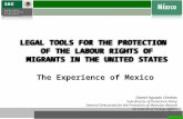 LEGAL TOOLS FOR  THE PROTECTION OF THE LABOUR RIGHTS OF MIGRANTS  IN THE UNITED STATES