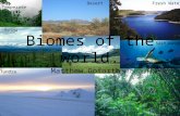 Biomes of the world.