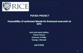 PEMEX PROJECT Foamability  of surfactant blends for fractured reservoirs at 94°C