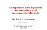 Companion Eye Systems for Assistive and Automotive Markets