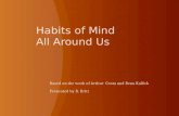 Habits of Mind All Around Us