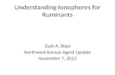 Understanding  Ionophores  for Ruminants