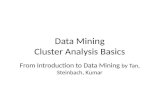 Data Mining Cluster  Analysis Basics