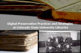 Digital Preservation Practices and Strategies  at Colorado State University Libraries