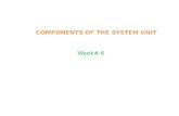 COMPONENTS OF THE SYSTEM UNIT