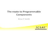 The route to Programmable Components