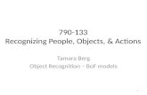 Tamara Berg Object Recognition –  BoF  models