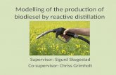 Modelling of the production of biodiesel by reactive distillation