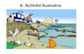 6. Activité humaine
