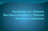 Patologías de: Sistema Nervioso Somático y Sistema Nervioso Autónomo
