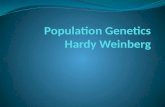 Population Genetics Hardy Weinberg