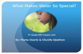 What Makes Water So Special?