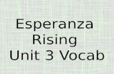 Esperanza  Rising  Unit 3 Vocab