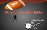 Diary of a  F ootball  S pider