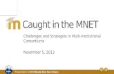 Challenges and Strategies in Multi -Institutional Consortiums November 5, 2013