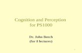 Cognition and Perception  for PS1000