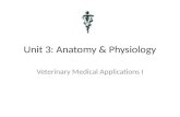 Unit 3: Anatomy & Physiology