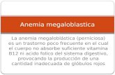 Anemia  megaloblastica