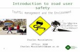 Introduction to road user  safety