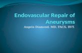 Endovascular Repair of Aneurysms