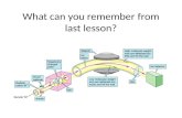 What can you remember from last lesson?