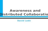 Awareness and Distributed Collaboration