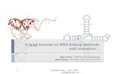 A  brief  tutorial on RNA folding methods  and resources…