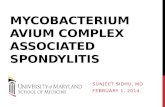 Mycobacterium  Avium  Complex Associated Spondylitis