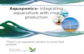 “There’s an  aquaponic solution  to every food problem”