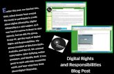 Digital Rights  and Responsibilities Blog Post
