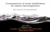 Consequences of ocean acidification for marine microorganisms