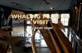 Whaling Museum Visit