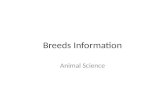 Breeds Information