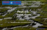 Peat  as an  organic record
