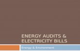 Energy Audits & Electricity Bills
