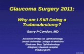 Glaucoma Surgery 2011: Why am I Still Doing a  Trabeculectomy ?
