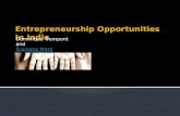 Entrepreneurship Opportunities In India
