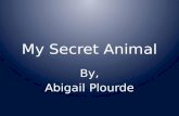 My  Secret Animal