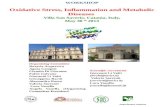 WORKSHOP Oxidative Stress, Inflammation and Metabolic Diseases  Villa San Saverio, Catania, Italy,