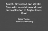 Marsh,  Downland  and Weald:  Monastic foundation and rural intensification in Anglo-Saxon Kent