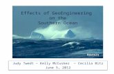 Effects of  GeoEngineering on the Southern Ocean