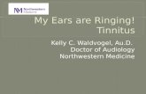 My Ears are Ringing! Tinnitus