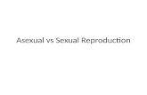Asexual  vs  Sexual Reproduction