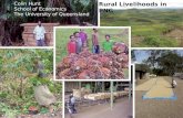 Rural livelihoods in PNG